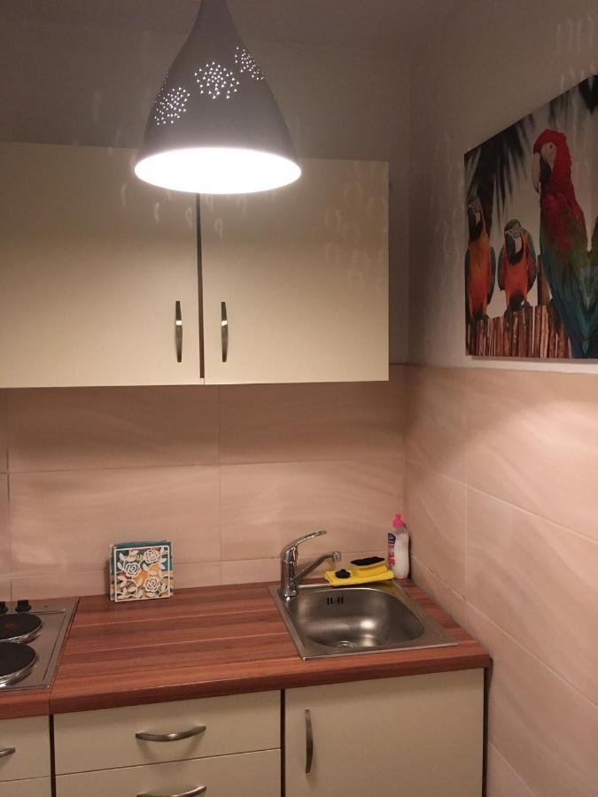 Stadtmitte Apartment